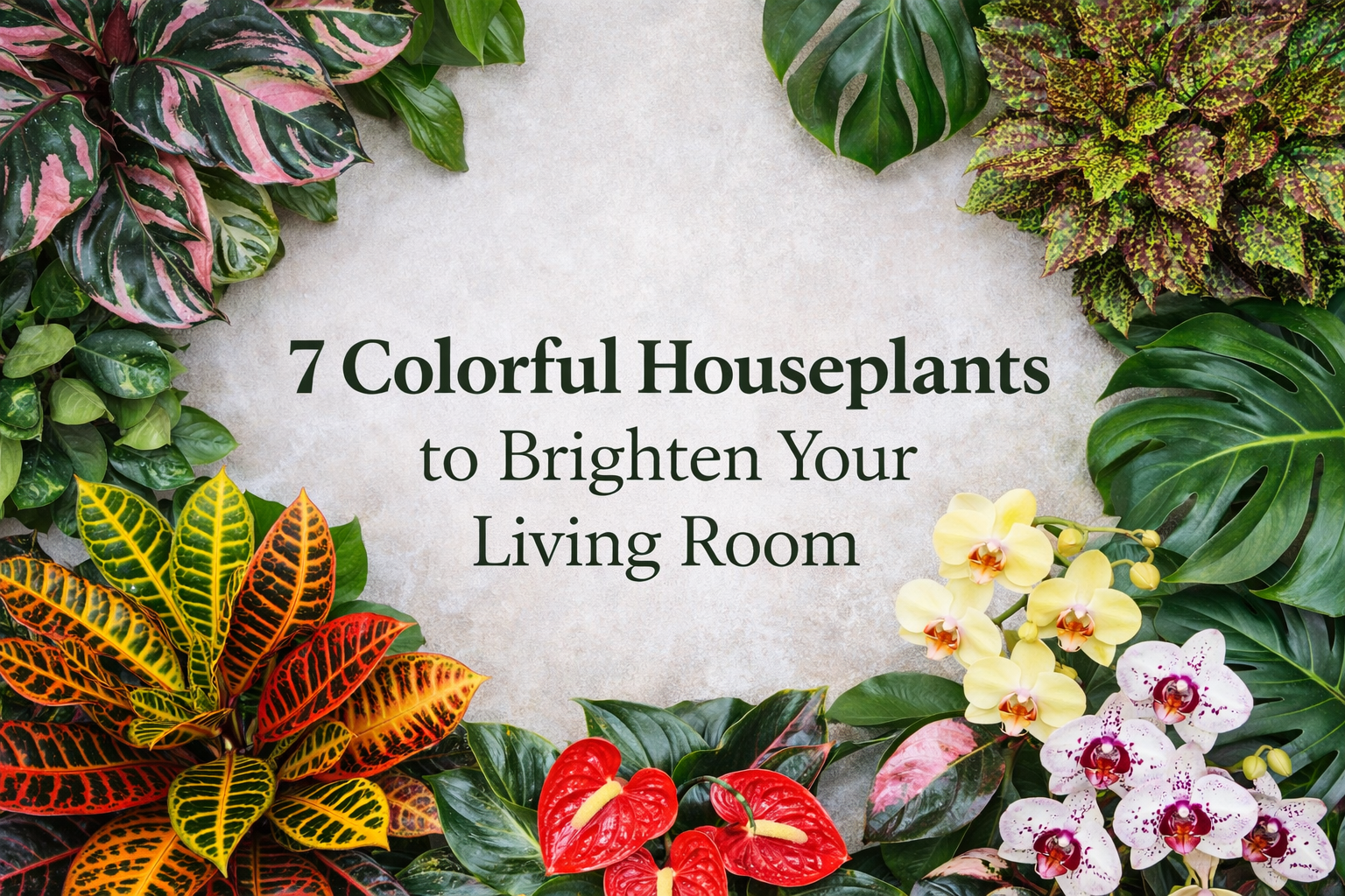 7 colorful housplants to brighten your living room